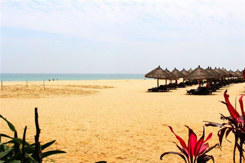 40平蔬菜店如何装修（50平米蔬菜店）